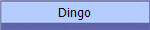 Dingo